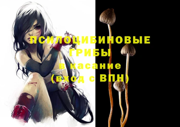 гидра Балахна