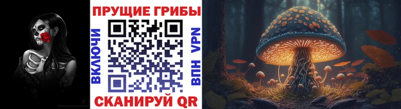 Псилоцибиновые грибы прущие грибы  shop официальный сайт  Чусовой 